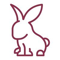 Rabbit icon