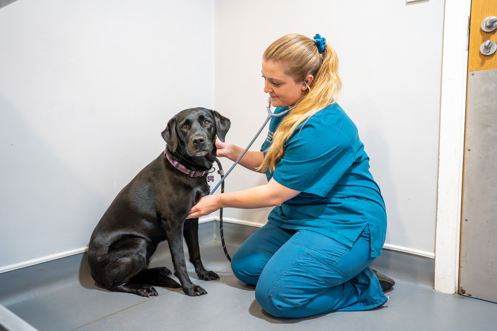 Willows Veterinary Group - Winsford (Web) 011