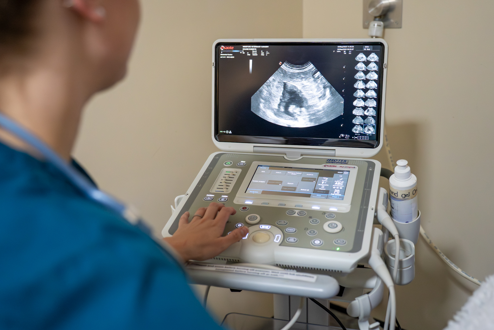 Willows Veterinary Group - Winsford (Web) 016