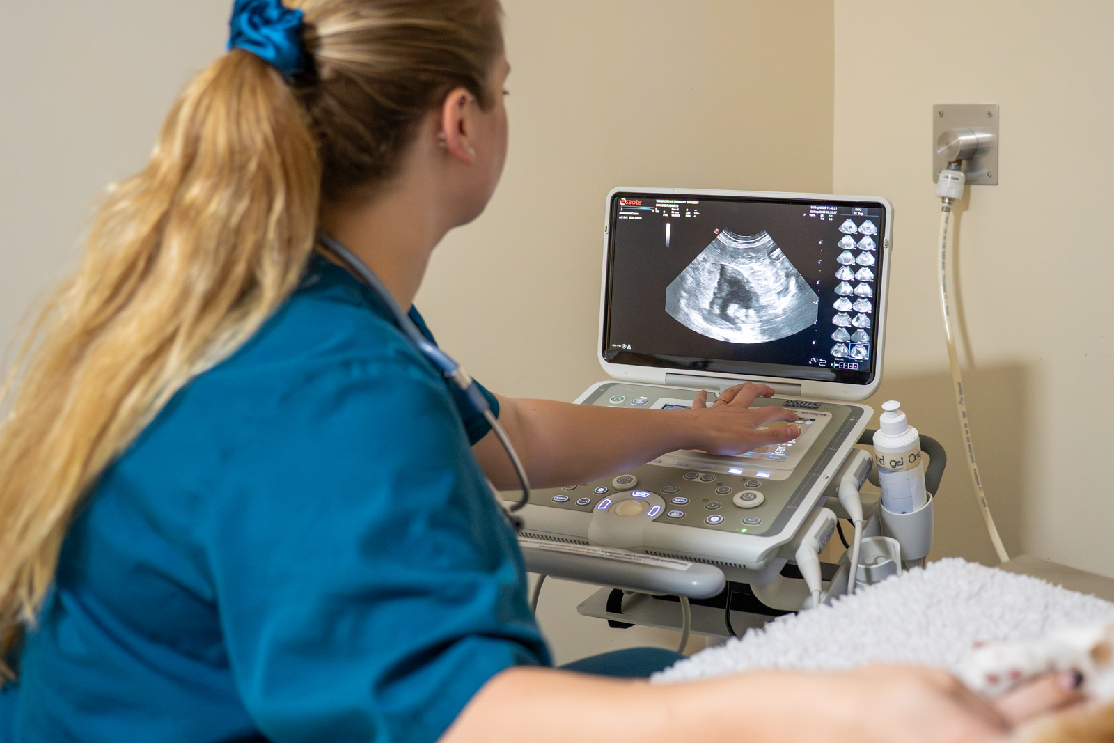 Willows Veterinary Group - Winsford (Web) 017