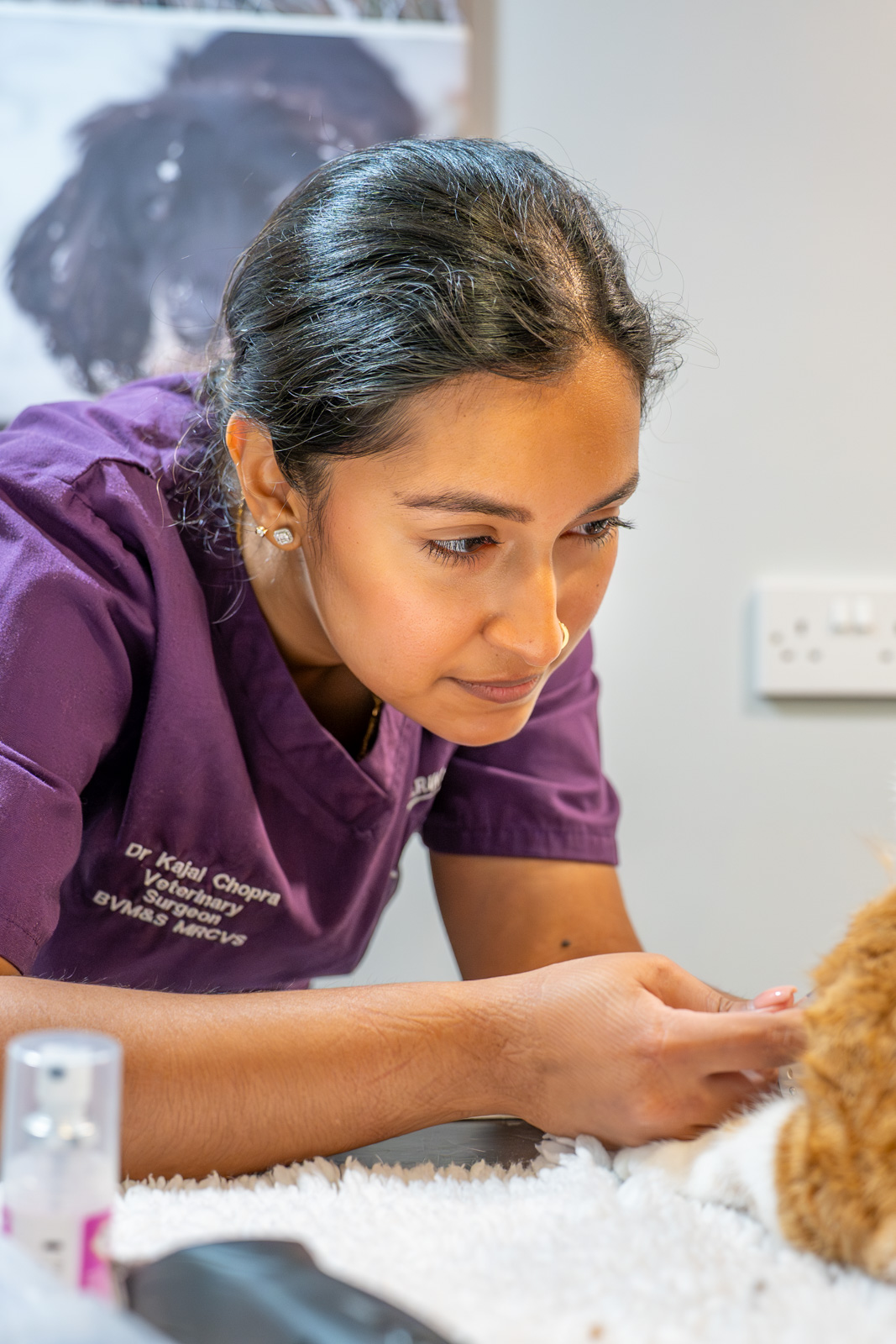 Willows Veterinary Group - Winsford (Web) 027