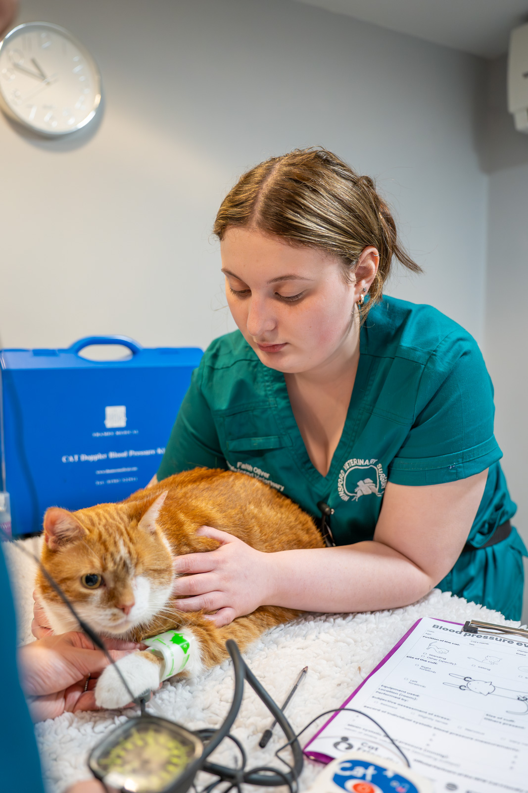 Willows Veterinary Group - Winsford (Web) 063